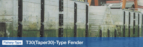 T30(Taper30)-Type Fender